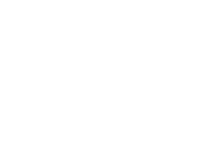 Systemisch Führen: Vertrauen, Rolle und Macht Systemisch Führen: Vertrauen, Rolle und Macht