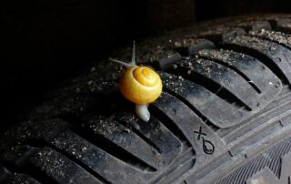 Eine kleine Schnecke auf einem mit kleinen Steinen bedeckten Autoreifen.